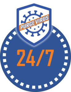 purge virus 24 x 7